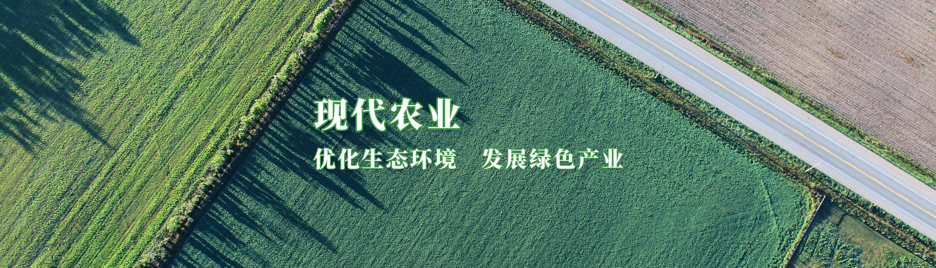 九洲国际官网(中国区)股份有限公司