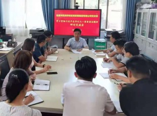 九洲国际官网 召开学习贯彻习近平总书记七一主要讲话精神 钻研交流会